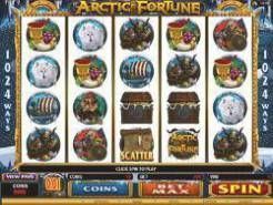 Arctic Fortune Slots